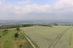 18674_IMG_8959_6000x4000