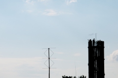 DSC_003
