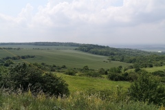 IMG_20200614_121358