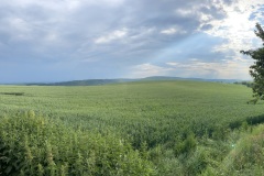 IMG_0403