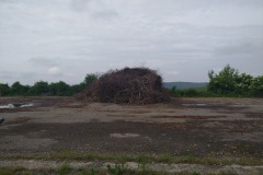IMG_20230607_090956