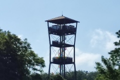 IMG_20230611_081619
