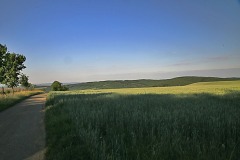 MG_9319w
