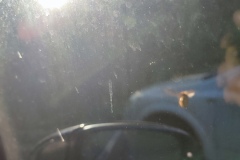IMG_20250615_064426